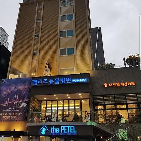 The Petel Premium Suite Busan Exterior foto