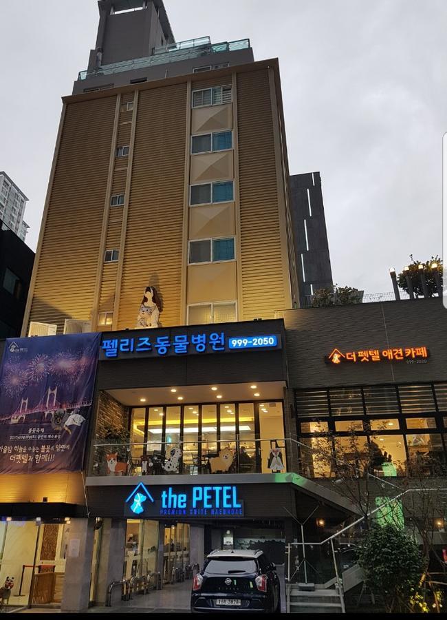 The Petel Premium Suite Busan Exterior foto